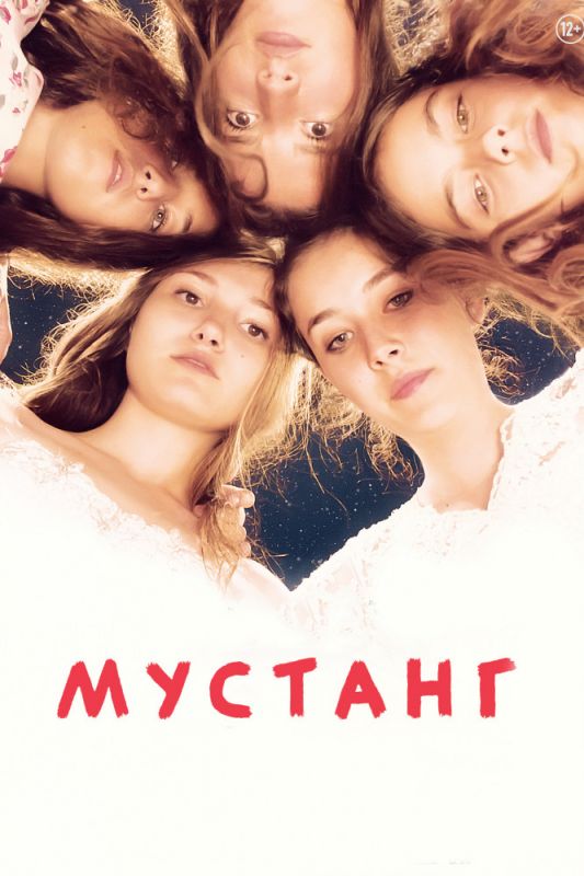 Мустанг зарубежные сериалы скачать торрентом