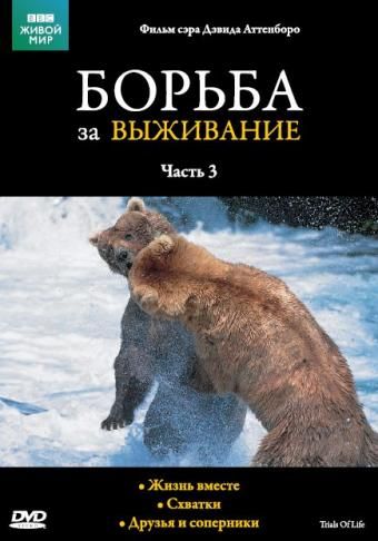 BBC: Борьба за выживание 1990 скачать с торрента