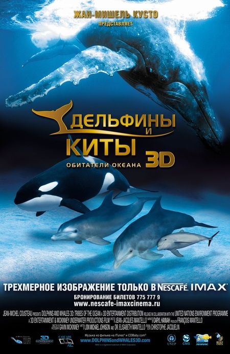 Дельфины и киты 3D зарубежные сериалы скачать торрентом
