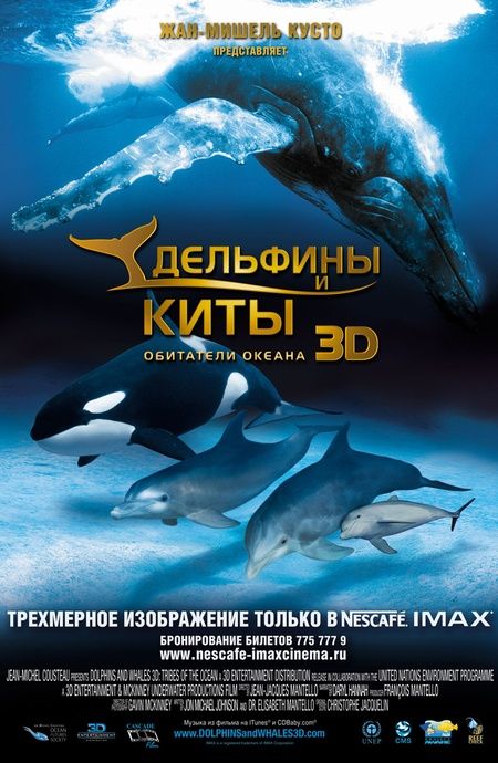 Дельфины и киты 3D 2008 скачать с торрента