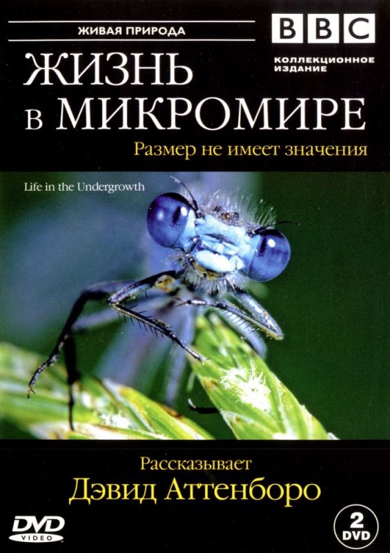 BBC: Жизнь в микромире зарубежные сериалы скачать торрентом