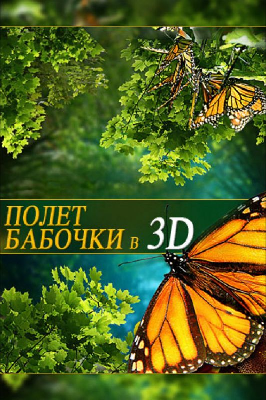 Полет бабочки 3D 2012 скачать с торрента