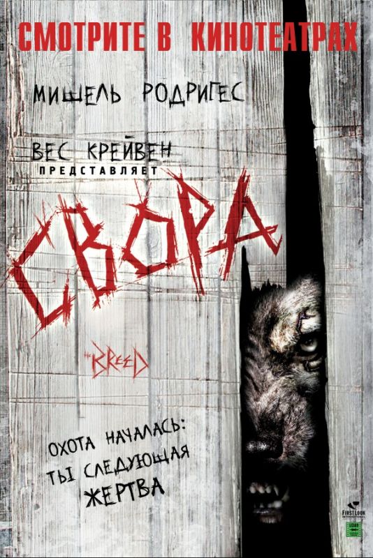 Свора 2006 скачать с торрента