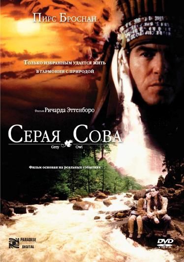 Серая сова зарубежные сериалы скачать торрентом