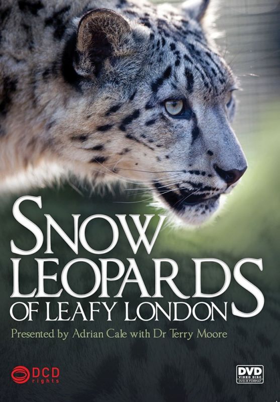 Snow Leopards of Leafy London зарубежные сериалы скачать торрентом