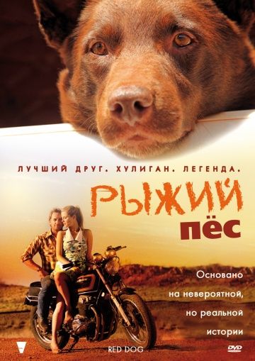 Рыжий пес зарубежные сериалы скачать торрентом