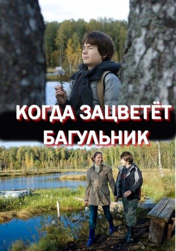 Когда зацветёт багульник зарубежные сериалы скачать торрентом