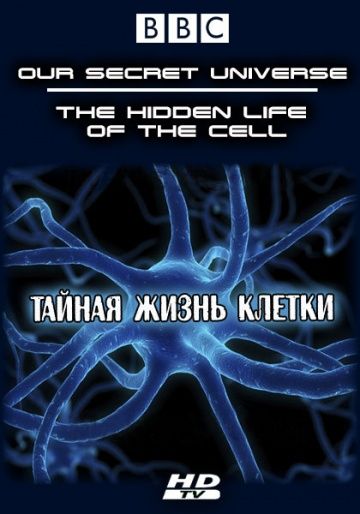 Внутренняя вселенная: Тайная жизнь клетки 2012 скачать с торрента