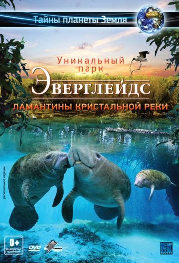 Эверглейдс 3D: Ламантины Кристальной реки 2012 скачать с торрента