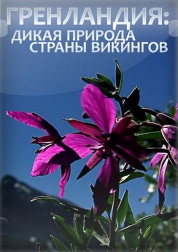 Гренландия: Дикая природа страны викингов 2005 скачать с торрента