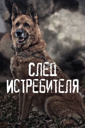 След Истребителя зарубежные сериалы скачать торрентом