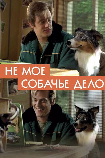 Не моё собачье дело зарубежные сериалы скачать торрентом