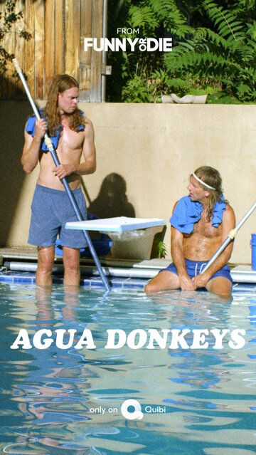 Agua Donkeys 2020 скачать с торрента