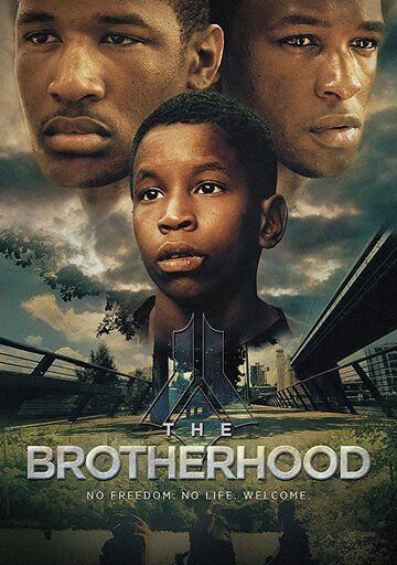 The Brotherhood зарубежные сериалы скачать торрентом