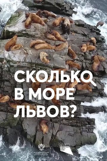 Сколько в море львов? 2018 скачать с торрента