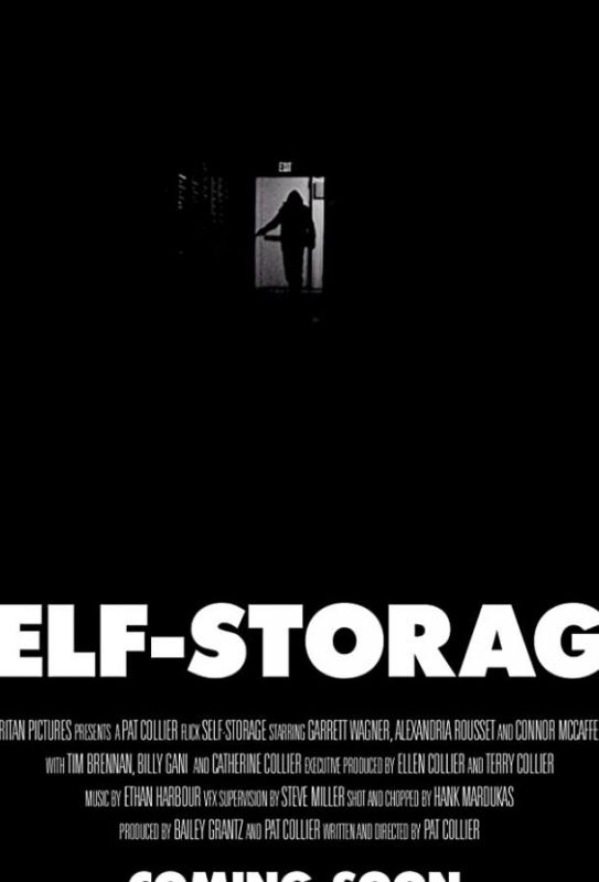 Self-Storage зарубежные сериалы скачать торрентом