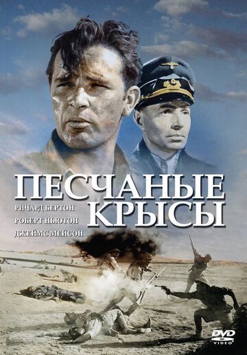 Песчаные крысы 1953 скачать с торрента