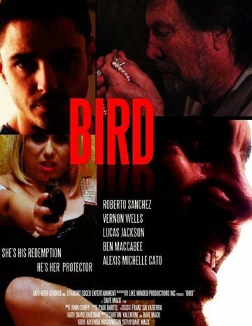 Bird зарубежные сериалы скачать торрентом