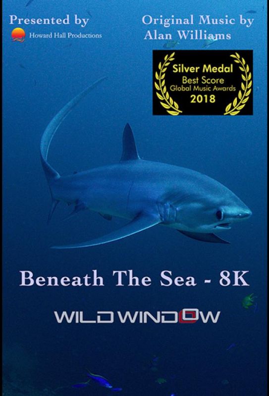 Wild Window: Beneath the Sea зарубежные сериалы скачать торрентом