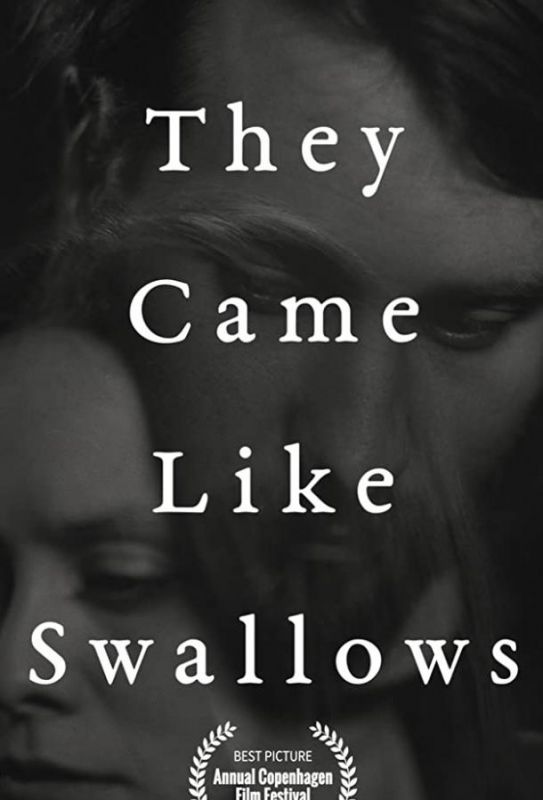 They Came Like Swallows зарубежные сериалы скачать торрентом