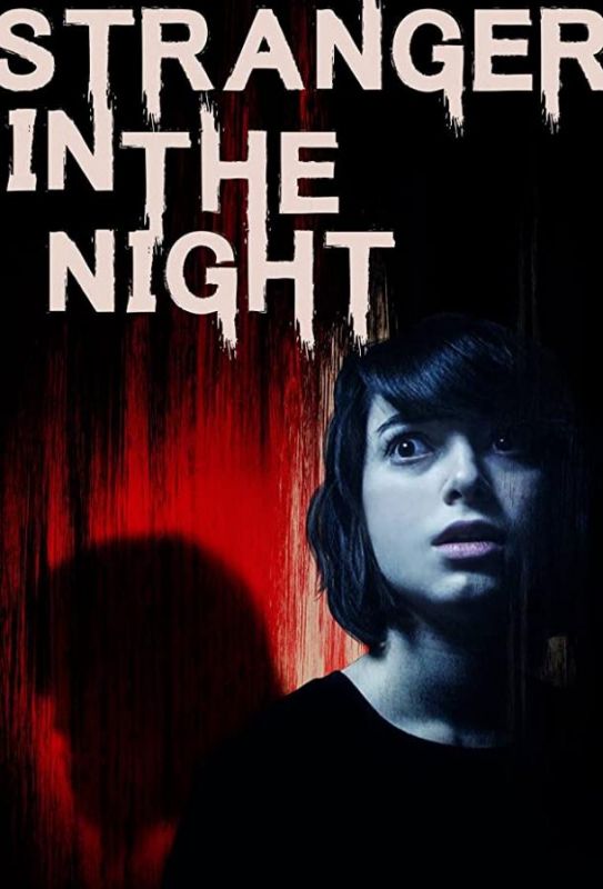 Stranger in the Night зарубежные сериалы скачать торрентом