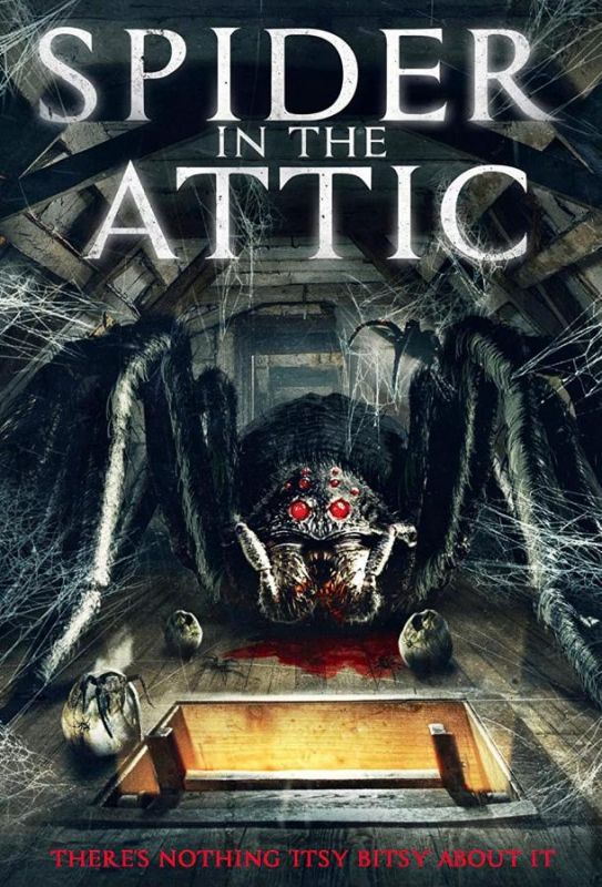 Spider from the Attic зарубежные сериалы скачать торрентом