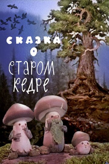 Сказка о старом кедре зарубежные сериалы скачать торрентом