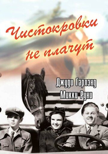 Чистокровки не плачут зарубежные сериалы скачать торрентом