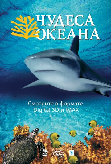 Чудеса океана 3D 2003 скачать с торрента