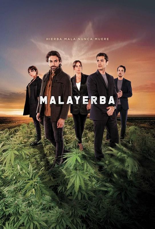 MalaYerba зарубежные сериалы скачать торрентом