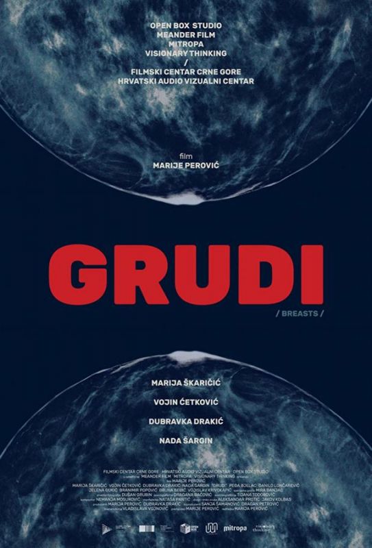 Grudi 2020 скачать с торрента