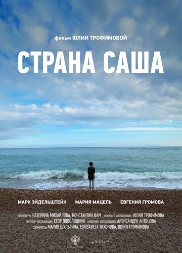 Страна Саша зарубежные сериалы скачать торрентом