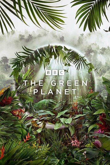 The Green Planet зарубежные сериалы скачать торрентом