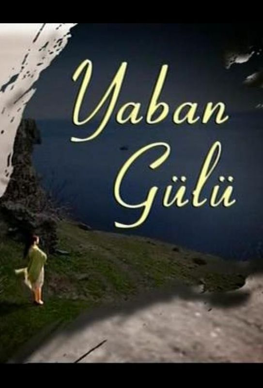 Yaban Gülü 2008 скачать с торрента