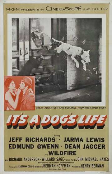 It's a Dog's Life 1955 скачать с торрента