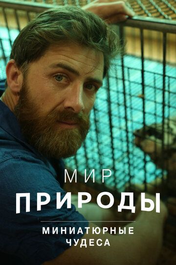 Мир природы. Миниатюрные чудеса зарубежные сериалы скачать торрентом