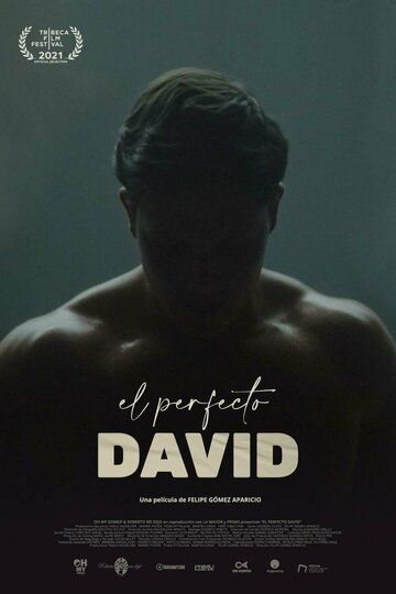 El perfecto David зарубежные сериалы скачать торрентом