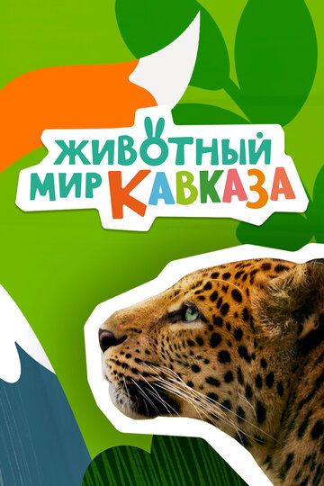 Животный мир Кавказа зарубежные сериалы скачать торрентом