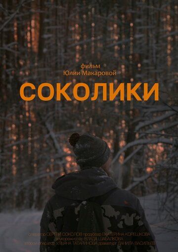 Соколики зарубежные сериалы скачать торрентом