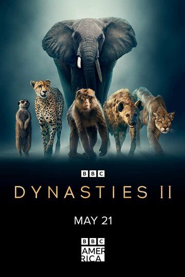 Dynasties II зарубежные сериалы скачать торрентом