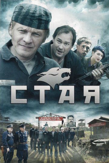 Стая 2009 скачать с торрента