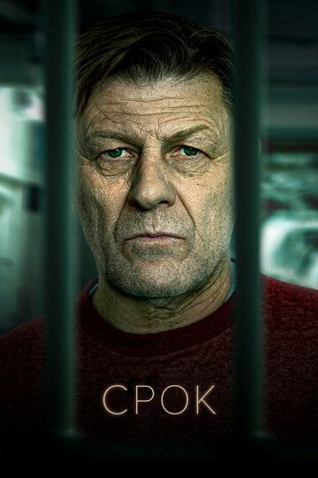 Срок зарубежные сериалы скачать торрентом