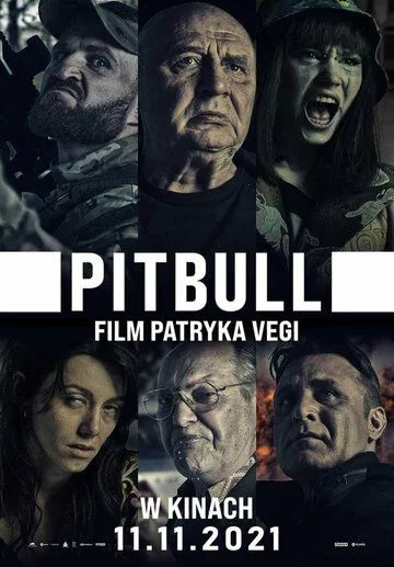 Pitbull зарубежные сериалы скачать торрентом